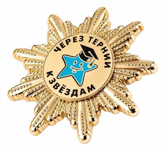 НАГРУДНЫЙ ЗНАК "ДОЧУ ЦЕНТР-СОЗВЕДИЯ" заказать в MKZNAK.RU