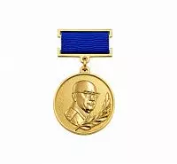 НАГРУДНАЯ МЕДАЛЬ "ВИШНЕВСКОГО"
