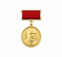 НАГРУДНАЯ МЕДАЛЬ "ВИШНЕВСКИЕ-ЛАУРЕАТ"