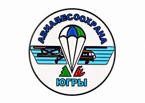 картинка ЗНАЧОК "АВИАЛЕСООХРАНА" магазин МКЗнак являющийся официальным дистрибьютором в России 